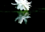 0022